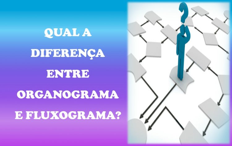 Qual a diferença entre Organograma e Fluxograma?
